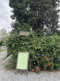 📍Natura Cafe【自然に囲まれたカフェ】