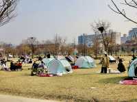 平日漢江公園驚見超浪漫野餐景象！情侶在草地上看韓劇，這才是韓國人最愛的放鬆方式在韓國的平日午後