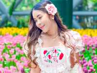  อัปเดตทิวลิปสุดสวยที่ Miracle of Natural