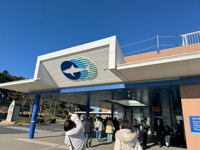 Where the Sea Comes Alive: Exploring Aqua World Oarai