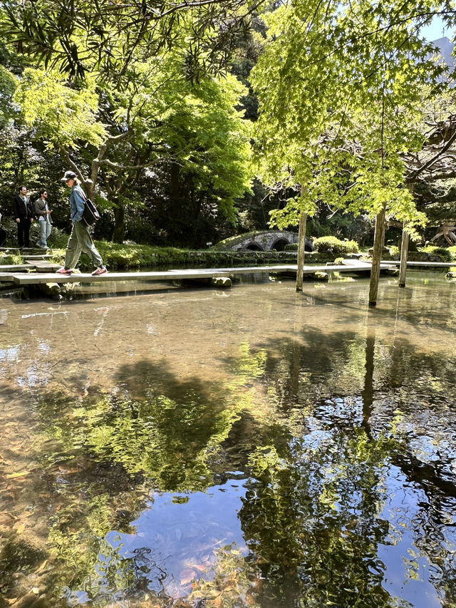 【金沢×尾山神社】楽器の庭と言われる緑溢れる庭園