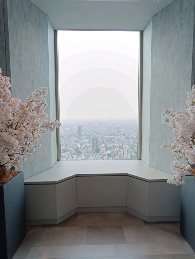 柯南展覽