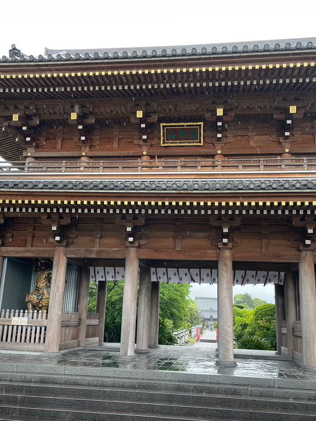 【日本🇯🇵】熊本　蓮華院　赤ちゃん土俵入り