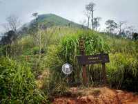 บทพิสูจน์ใจ ก่อนพบสวรรค์ลานสน 🌲
