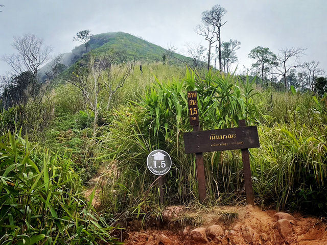 บทพิสูจน์ใจ ก่อนพบสวรรค์ลานสน 🌲