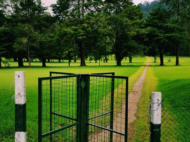 斯里蘭卡Nuwara Eliya 旅行攻略，適合打卡拍照📸