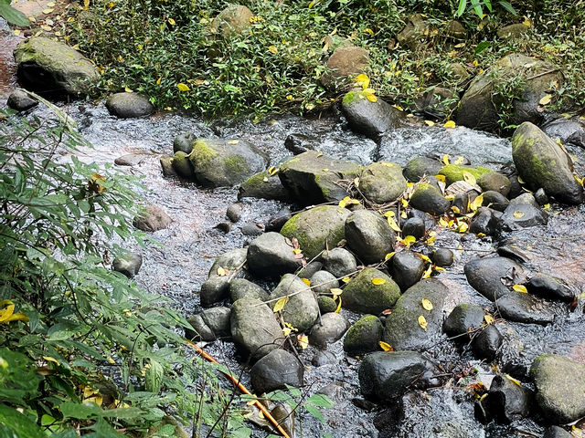 เที่ยวน้ำตกภูสอยดาว อุทยานแห่งชาติภูสอยดาว 🌲💦