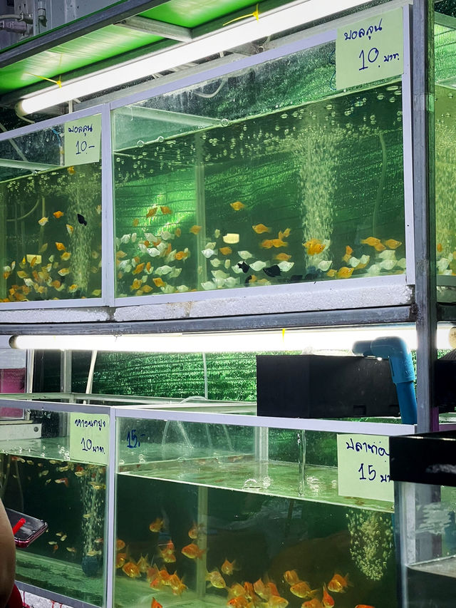 สีสัน ผลไม้ และวิถีชุมชน ที่พลาดไม่ได้!