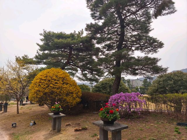 木槿花公園/舍廊房