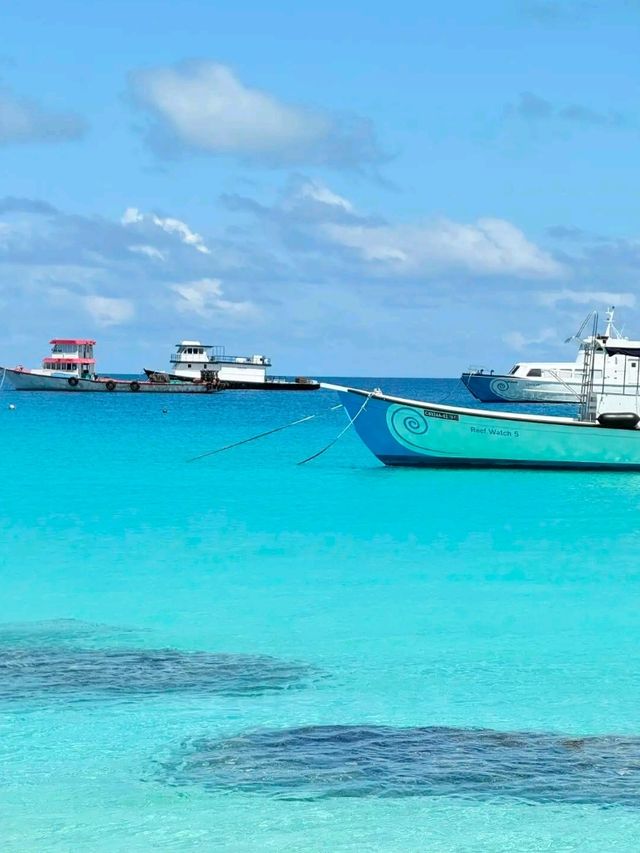 Maldives Magic: Paradise Found on Earth