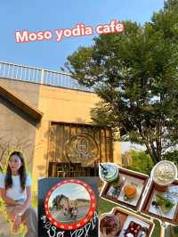 Moso yodia cafe มาอยุธยารอบหน้าต้องแวะอีก