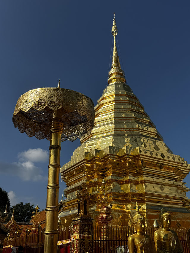 Trip เชียงใหม่ ฉบับ 1 วัน 1 คืน