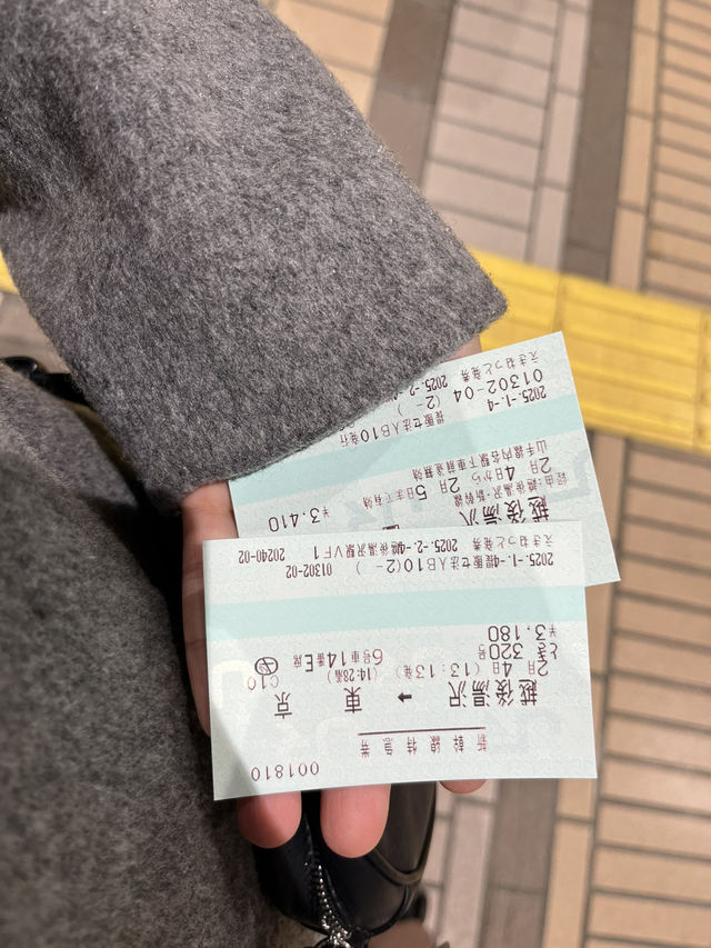 도쿄여행 근교 추천코스, 니가타현 에치고유자와 🌨️