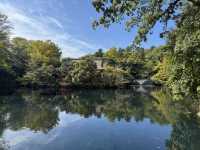 吉祥寺～東京值得花少一天好好遊玩的地方