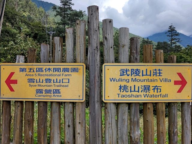#武陵國家森林遊樂區-臺中區和平區
