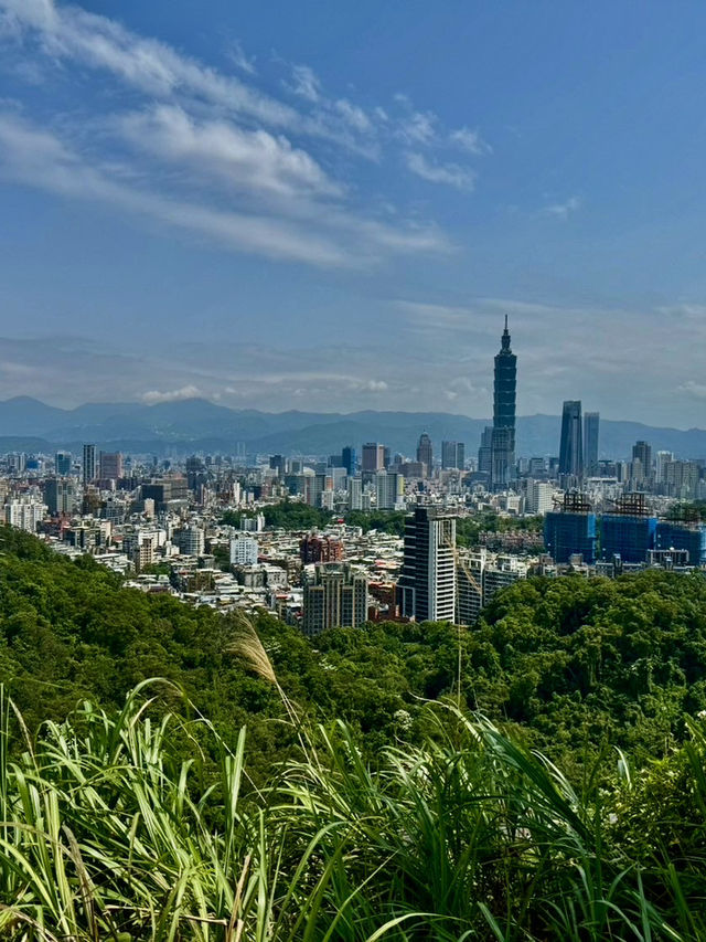 最親近台北的森林步道～富陽及黎和自然生態公園走走