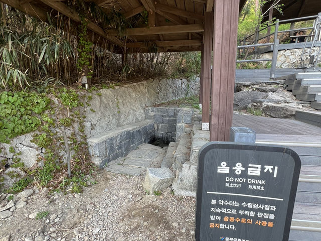 Namsan Vibes: Hike, Snap, Explore!