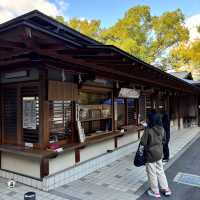 🇯🇵【大阪】平安時代の古文書にも記述が残る由緒正しい神社！伊射奈岐神社⛩️