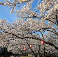 Kawanakajima Battlefield Park, Nagano