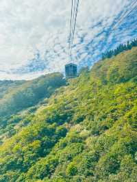 ロープウェイに乗って景色を楽しめる【新潟】