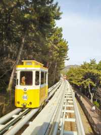 3 Days in Busan: Beaches, Street Food & Scenic Adventures – The Perfect Itinerary!
