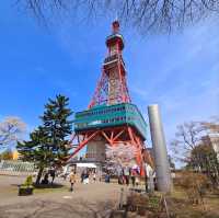 Sakura Blooming in Sapporo: A Springtime Wonderland