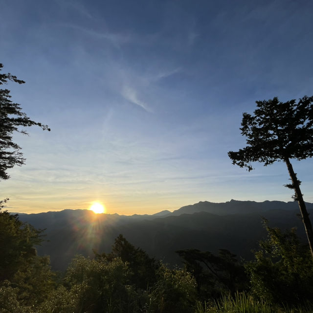 台灣阿里山