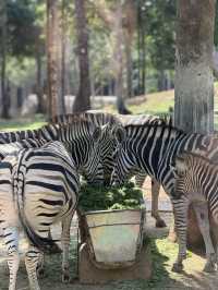 富國島野生動物園