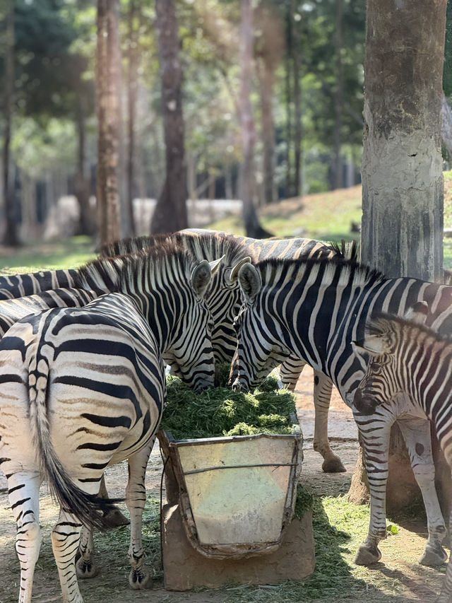 富國島野生動物園