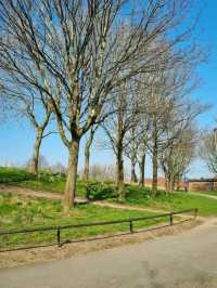 Everton Park