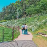 Jinbatgol forest park