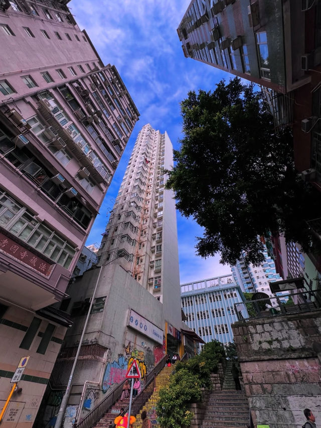 📸** 中環特色打卡景點分享**📸