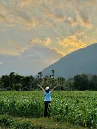 ที่พักวิวดอยหลวงเชียงดาว จ.เชียงใหม่ 🏡⛰️🌤️🐶