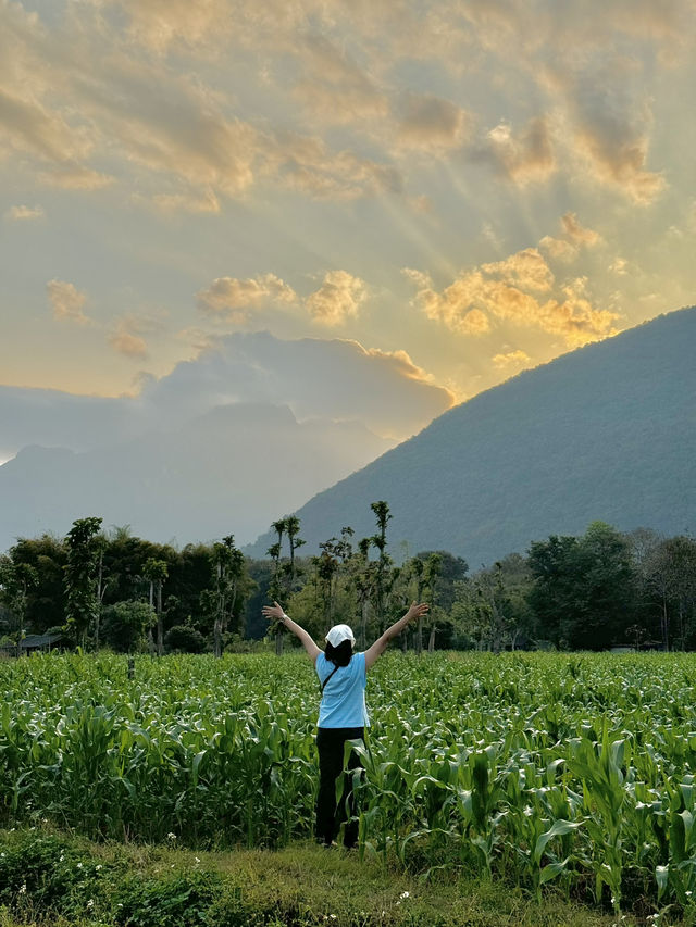 ที่พักวิวดอยหลวงเชียงดาว จ.เชียงใหม่ 🏡⛰️🌤️🐶
