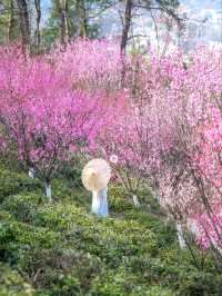 Wuhan – Where Yangtze Waters Meet Ancient Soul