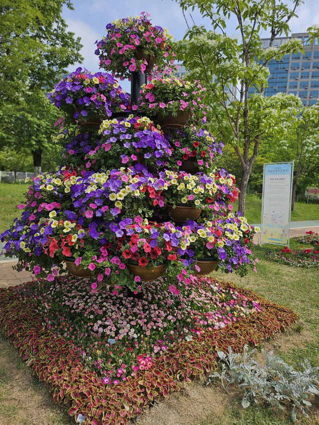 🌸 “봄날, 꽃과 함께 걷는 길 – 호수공원 꽃박람회 야외 데이트”