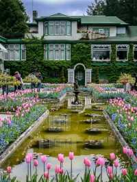 Butchart Gardens – A Garden That Stays in Your Heart