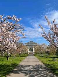 Royal Botanic Gardens – London’s Autumn Masterpiece