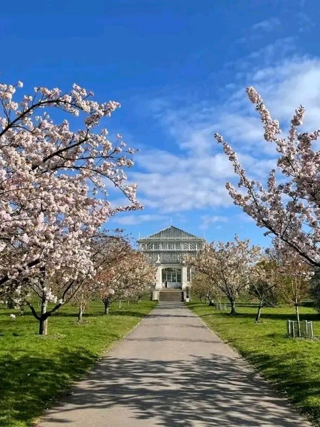 Royal Botanic Gardens – London’s Autumn Masterpiece