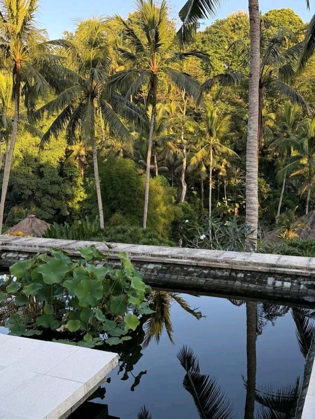 🍽️ A Feast in the Forest – Dining at Four Seasons Resort Bali at Sayan