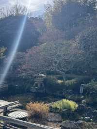 Hasedera Temple ✨ วัดเก่าแก่ในเมือง Kamakura