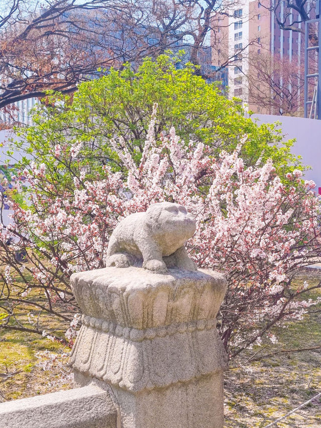 💕청덕궁 가족과 함께 거닐기 좋은 곳 🌲