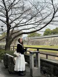 Kumamoto castle in japan 🇯🇵