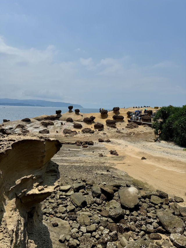 Too Hot to Handle, Too Cool to Miss. My Taipei Summer Adventure