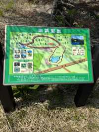 【利尻島】利尻島最大の高層湿原で季節の花と絶景を満喫！南浜湿原