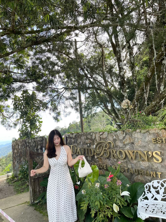 🥨 รีวิวร้าน Afternoon Tea ปีนังมาเลเซีย ✨🌞🫖 