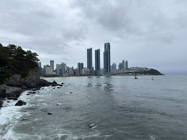 Where City Meets Sea: Korea in 3 Acts