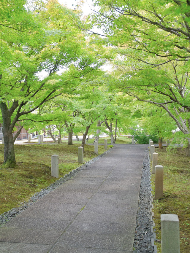 【行く前にこれ見て】名勝庭園を彩る翠の絨毯！心静かに新緑の美を味わう🌿✨※周辺観光情報付