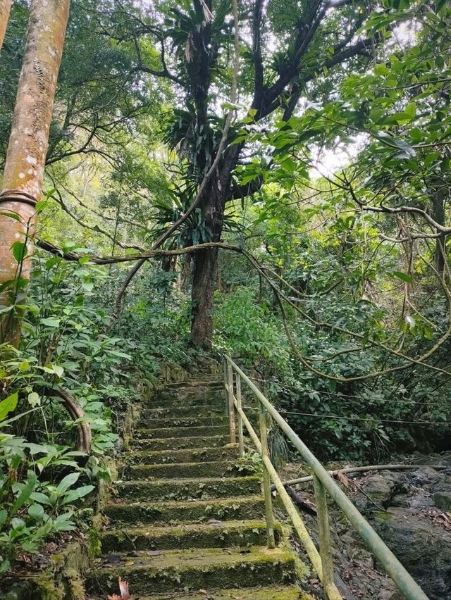Kadoorie Farm