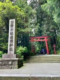 A Full Day of Fun in Hakone